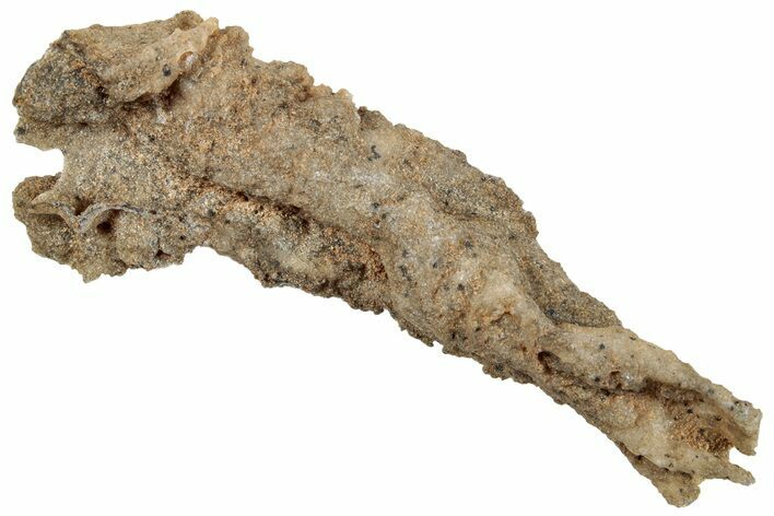 Fulgurite - Petrified Lightning #260172